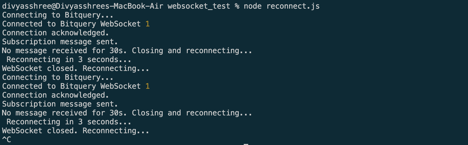WebSocket disconnect and reconnect flow